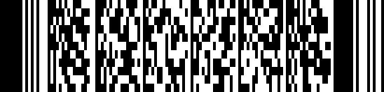 Perkhidmatan PDF 417 barcode example